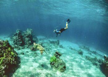 LOW KEY WATERSPORTS -- SCUBA DIVING -- SAINT JOHN ISLAND GUIDE