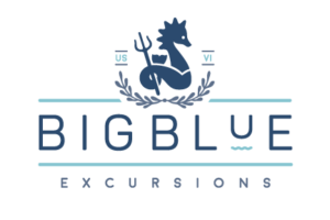Big Blue Excursions
