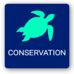 Conservation St. John USVI