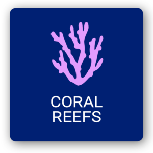 ST. JOHN CORAL REEFS -- SAINT JOHN ISLAND GUIDE