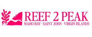 REEF2PEAK -- SAINT JOHN ISLAND GUIDE