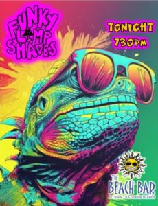 FUNKY LAMP SHADES  SAINT JOHN ISLAND GUIDE