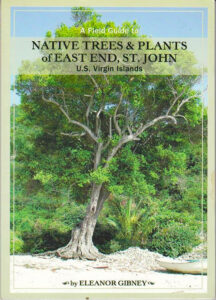 NATIVE TREES & PLANTS OF EAST END, ST. JOHN, BY ELEANOR GIBNEY