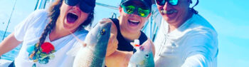 FISHING -- SAINT JOHN ISLAND GUIDE