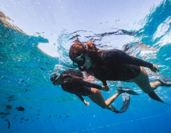 LIME OUT SNORKEL SAIL -- CRUZ BAY WATERSPORTS -- SAINT JOHN ISLAND GUIDE