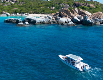 FLYING TIGER - PHOENIX ISLAND CHARTERS - SAINT JOHN ISLAND GUIDE