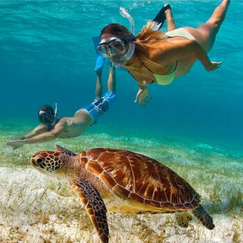STUDIO TOURS - ST. THOMAS - PRIVATE TOURS